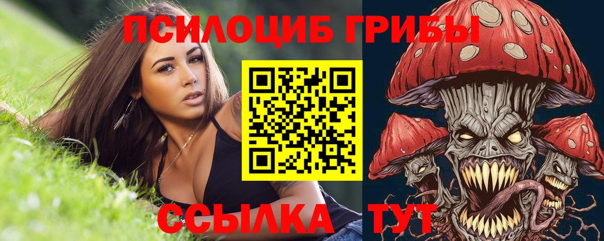 Галлюциногенные грибы Cubensis Ейск